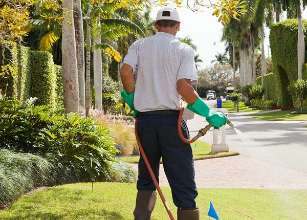 About Joffre PA Pest Control Pros
